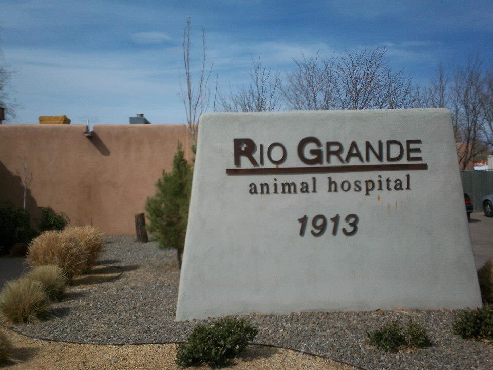 Rio Grande Animal Hospital logo